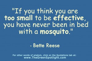 If you think you are too small to be effective, you have never been in ...