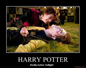 Twilight VS. Harry Potter