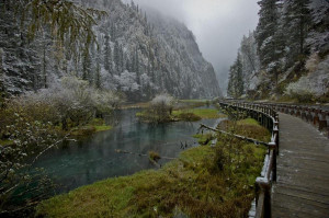 Express your nature.