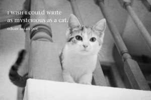 Cat Quote Edgar Allan Poe Art Print