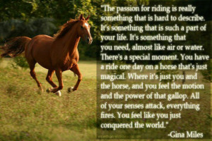 Horse Quotes