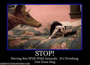 deer-wild-animals-dog-pet-demotivational-posters-funny-posters.jpg