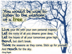 Wisdom of a tree