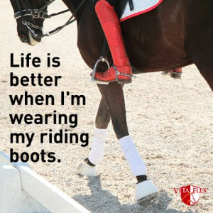... motivation #horse #horses #equestrian #showjumping #eventing #dressage