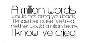 http://quotespictures.com/a-million-words-would-not-bring-you-back-i ...