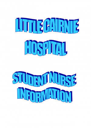 Palliative Care Nurse Quotes