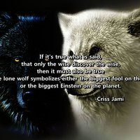 Lone Wolf Quotes Lone Wolf Quotes