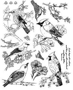 ... -Rubber-Stamps-Sheet-Wild-Birds-Nature-Stamps-Bird-Quotes-Cardinal