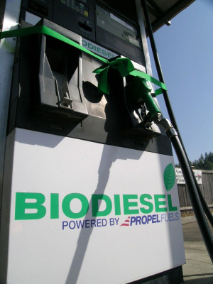 biodiesel fuel tank. photo by rrelam on Flickr