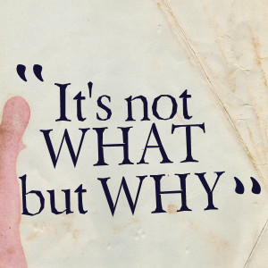 Quotes Picture: it's not what but why