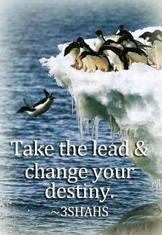 ... by 3shahs quotes leadership quotes 3 quotes sayings leadership quotes
