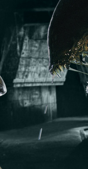 MV5BMTM2MDc4MDUxM15BMl5BanBnXkFtZTcwNjE3NDcyMw@@._V1_SY1200_CR588,0 ...