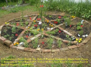 ... Herbs, Pagan Crafts, Wiccan Altar Ideas, Magick Gardens, Herbs Gardens