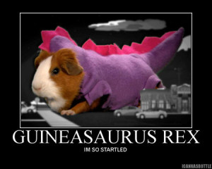 Randy Marsh What is your favorite Randy quote?