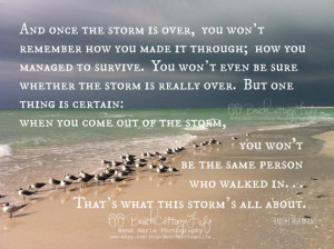 the Storm *(Seagulls Seaside Inspirational Coastal Quote Once Storm ...