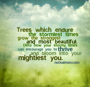 Trees which endure the stormiest times, grow the strongest and most ...