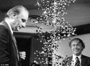 ... Crick, Dna Discover, 1953 Pics, Discover 1953, James Watson, Watson
