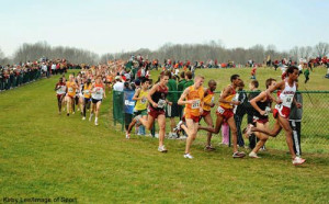 Terre Haute's Famous Course Hosts NCAA Cross Country