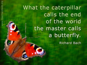 ... caterpillar calls the end of the world the master calls a butterfly