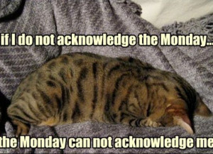 ... Hate Mondays Wallpaper , I Hate Mondays Cat , I Hate Mondays Quotes