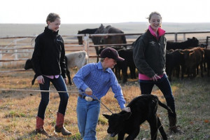 Drummond Cattle Ranch Oklahoma