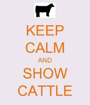 KEEP CALM AND SHOW CATTLE