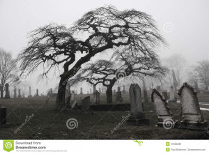 Funny Quotes Contact Dmca...