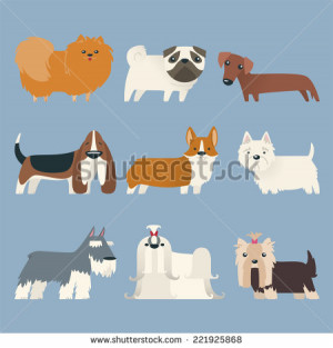 ... different breeds standing looking at camera vector illustration