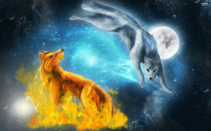 Amazing Wolves Amazing Wolves image