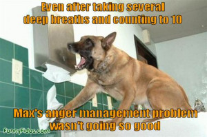 Max’s anger management wasn’t going so good.