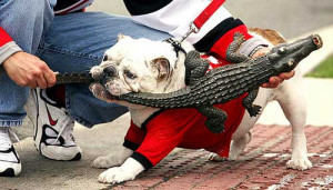 The Pessimist's Guide to the Georgia Bulldogs' 2011 football season.
