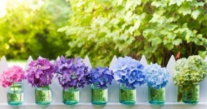 Hydrangeas image via Celebrating Life on Facebook at www.facebook.com ...