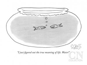 True Meaning of Life The True Meaning of Life