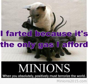 fun minion quote minion quote minion quote fun minion quote funny