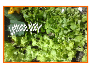 lettuce beside the deck:)