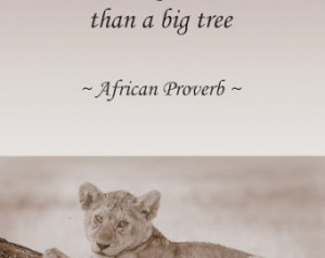 Wildlife Photography, Inspired Quote, African Proverb, Animal Photo ...