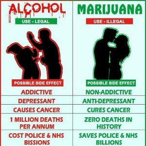 Alcohol Addiction vs. Marijuana Addiction