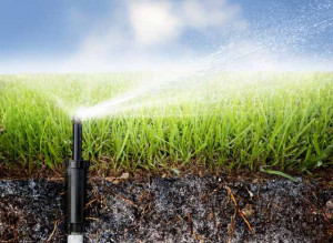 Nearly any sprinkler or irrigation problem, we can fix it.