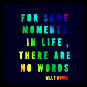 best-willy-wonka-quotes-for-some-moments-in-life-there-are-no-words