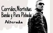 AMO A LOS CORRIDOS NORTENAS Y BANDAS :D More