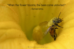 When the flower blooms the bees come uninvited quote