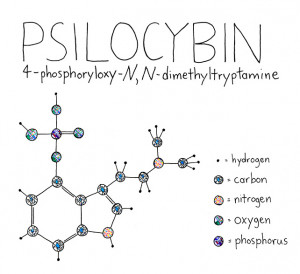 Psilocybin, the Mushroom, and Terence McKenna