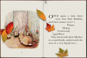 POPOUT! THE TALE OF PETER RABBIT