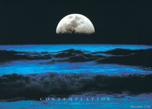 ... Ocean Setting Moon Clouds Motivational Quote Photo Poster New | eBay