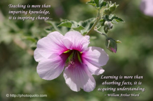 Sayings, Quotes: William Arthur Ward