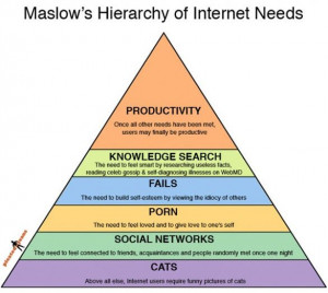 Hierarchy of Internet Needs