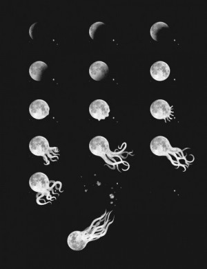... moon real fish cheese tentacles jelly Metamorphosis octupus phases