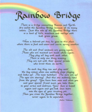 RainbowBridge_op_655x800.jpg#Rainbow%20bridge%20655x800