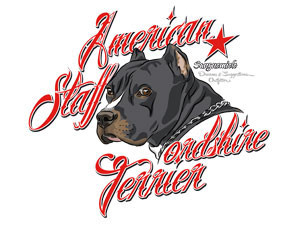 American Staffordshire Terrier