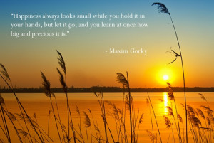 ... let it go, and you learn at once how big and precious it is. - Maxim